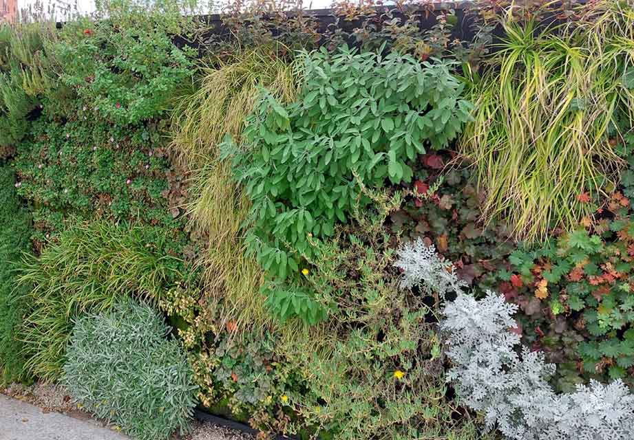 Bajalica Green Planet jardín 