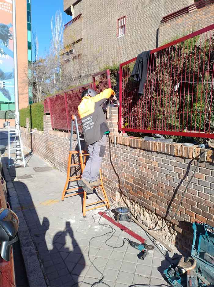 Bajalica Green Planet hombres realizando poda