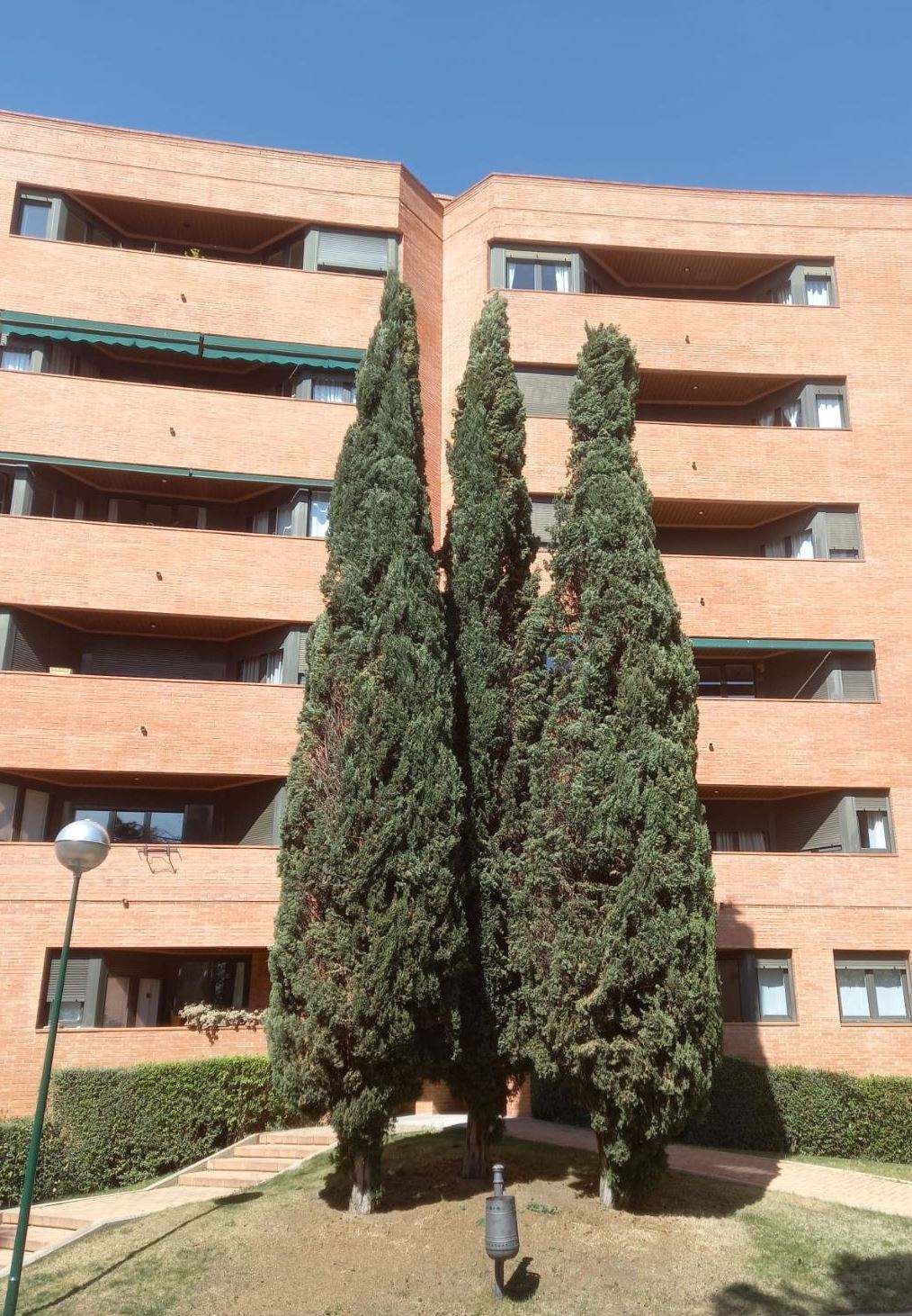 Bajalica Green Planet árboles y palmas
